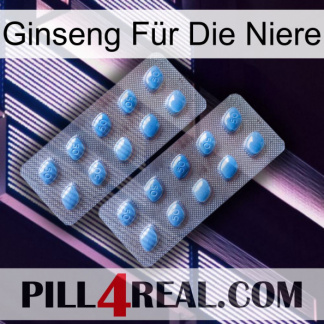Ginseng Für Die Niere viagra4